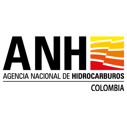 logo-anh-white